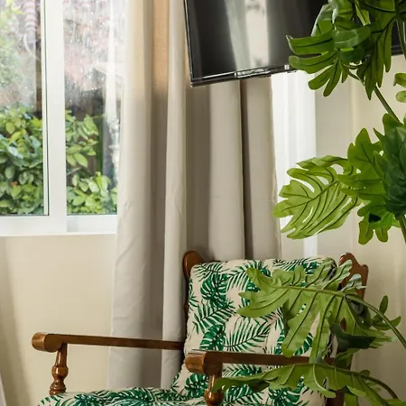Maisonette With Palms 스투파
